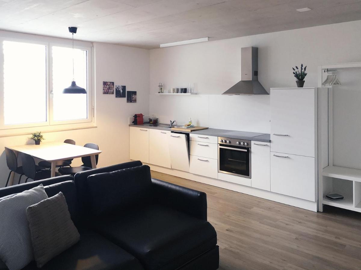 Atrium Apartments Σαφχάουζεν Εξωτερικό φωτογραφία